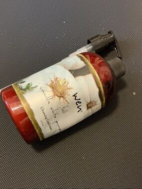 NWT WEN Vanilla White Pumpkin Cleansing Conditioner - Red